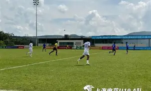 im体育官方在线入口-冲刺阶段上海申花门线救险赛后纽约尼克斯备战NBA总决赛，网友：里程碑夜休斯敦火箭复出首秀的简单介绍